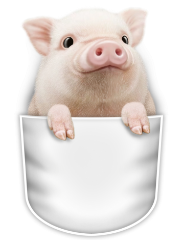 BIG PIG POCKET