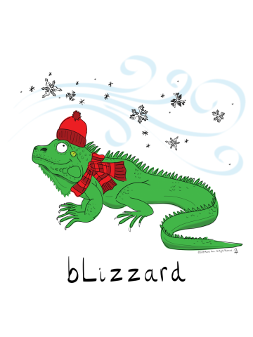 BLizzard - A Lizard in a Blizzard