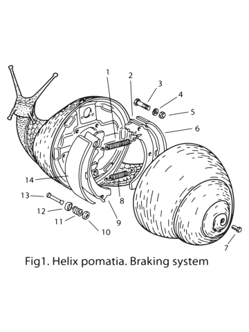 BRAKING SYSTEM