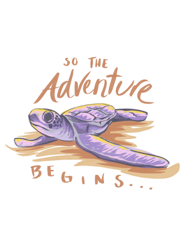 Baby Turtle
