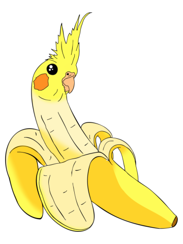 Banana cockatiel pattern shoes