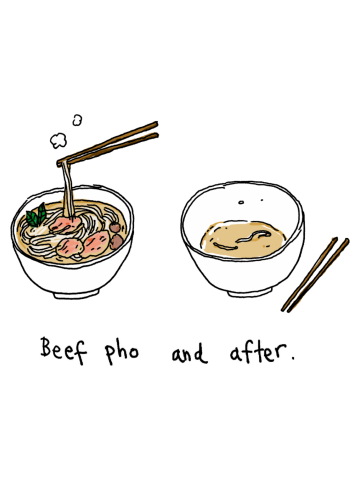 Beef Pho and After.