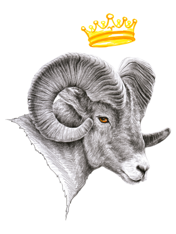 Bighorn Ram with Crown Aries Zodiac sign Animal art