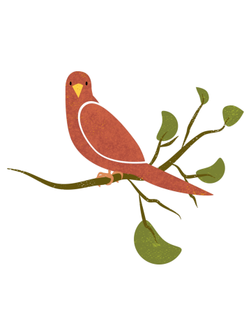 Bird In Tree