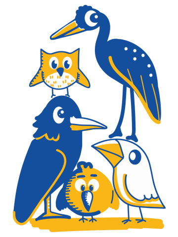 Birds of a Feather