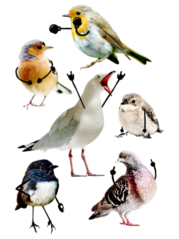Birds with Arms