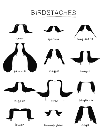 Birdstache