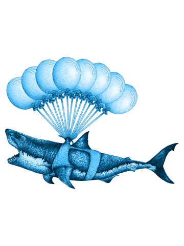 Birthday Shark