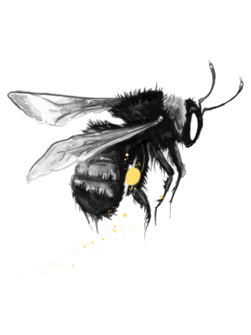 Bish Bee Bumble