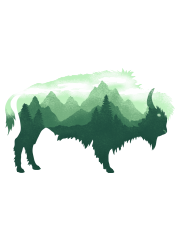 Bison Buffalo Double Exposure Surreal Wildlife Native Animal