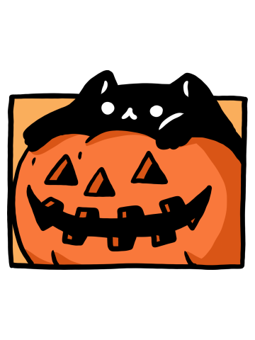 Black Cat Pumpkin