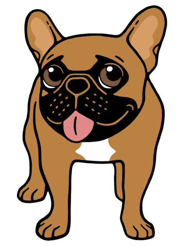 Black Mask Fawn French Bulldog is ready to play