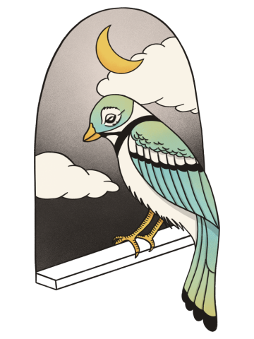 Blue Green Bird Looking into the Night Sky