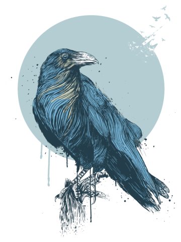 Blue crow