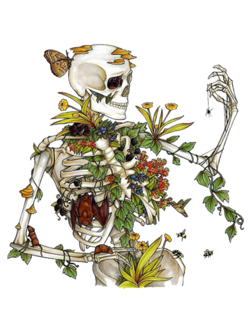 Bones and Botany