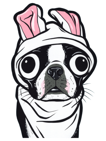 Boston Terrier Bunny