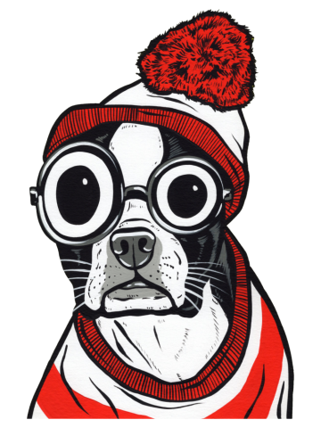 Boston Terrier Striped