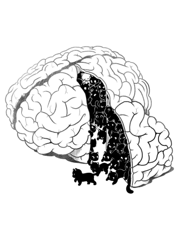 Brain Slice Cats!