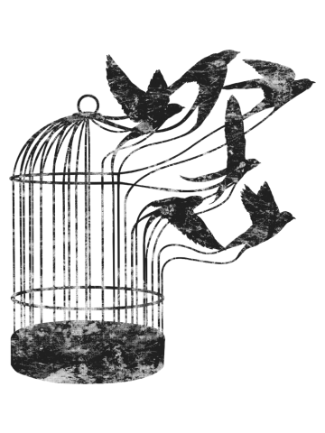 Breaking Through to Freedom