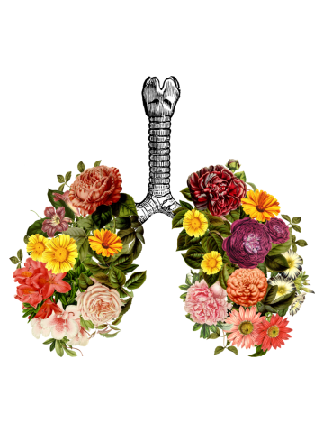 Breathing Spring Flower Lungs