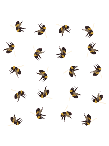 Bumble Bees Pattern