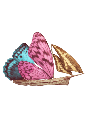Butterfly Ship