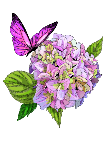Butterfly and hydrangea