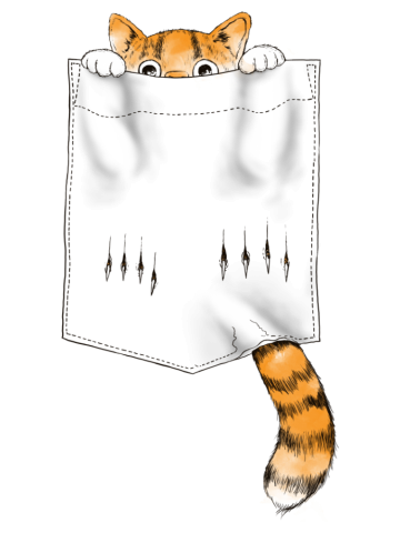CAT POCKET