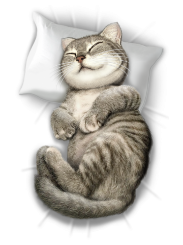 CAT SLEEPING ON PILLOW
