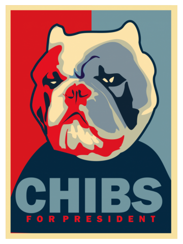 CHIBS FOR PRESIDENT