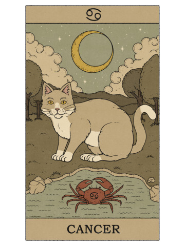 Cancer Cat