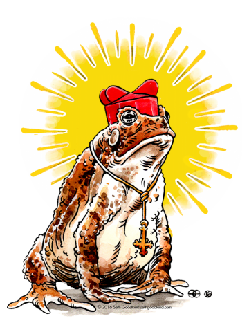 Cardinal Cane Toad