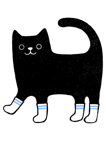 Cat In Socks