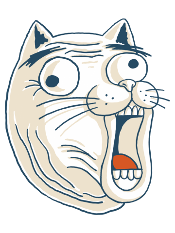 Cat LOL