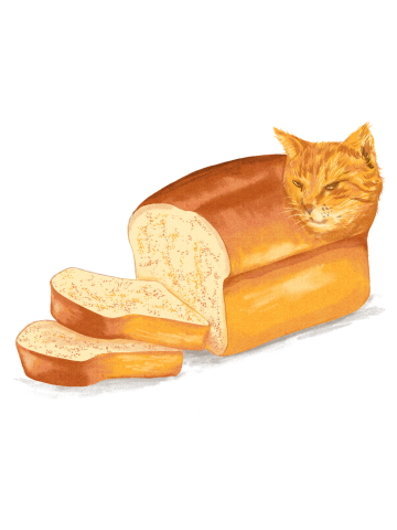 Cat Loaf
