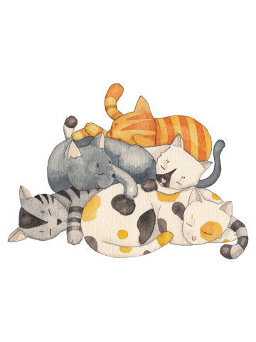 Cat Nap - Siesta Time