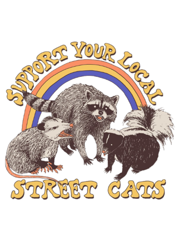 Cat Of Local Street