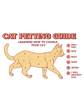 Cat Petting Guide