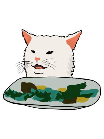 Cat Salad