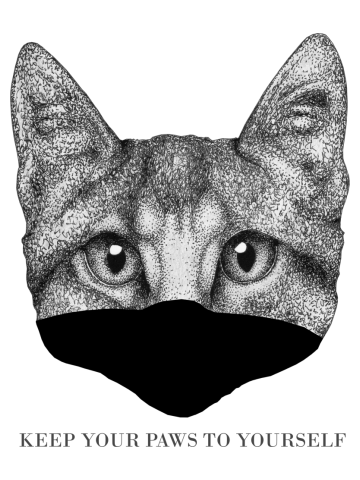 Cat Wearing a Mask