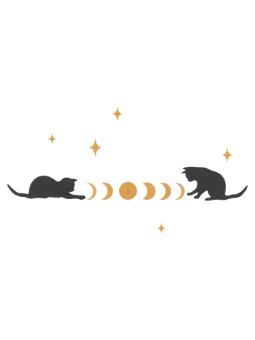 Cat and Moon 3