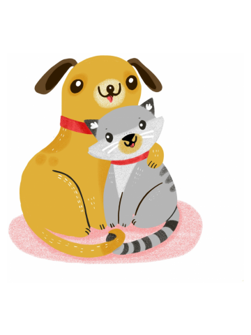 Cat and dog