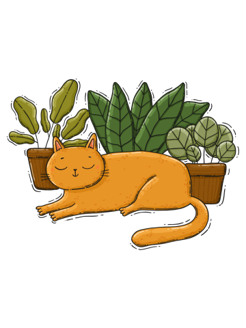 Cat and plants