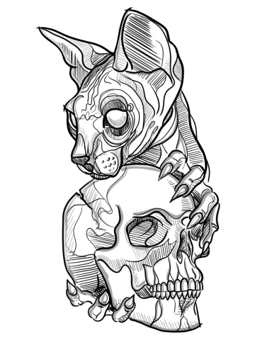 Cat holding skull
