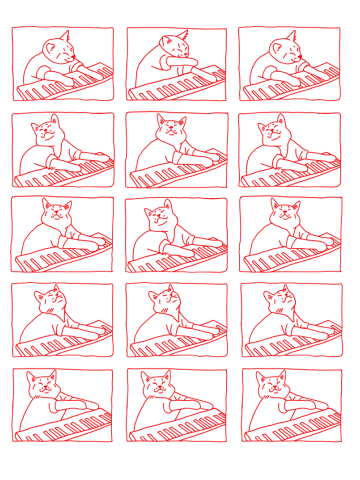 Cat in Meme Major