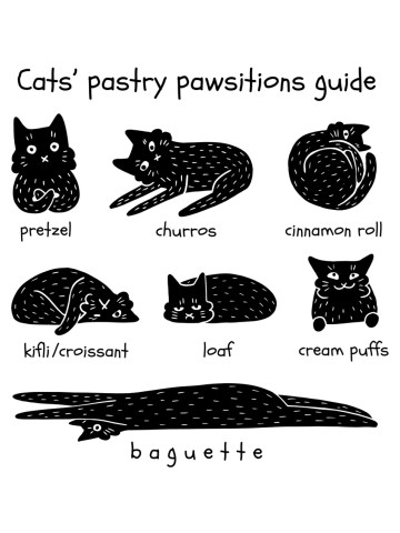 Cats' Pastry Positions Guide