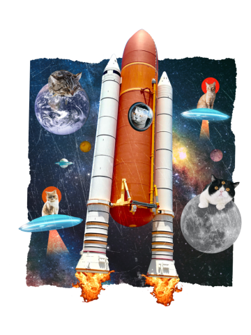 Cats to the Moon