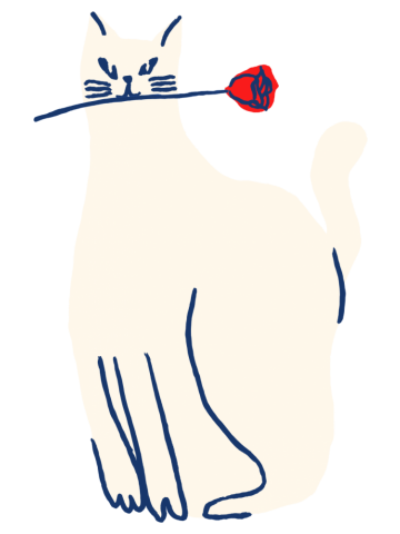 Catsanova