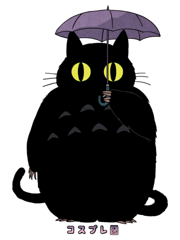 Catsplay