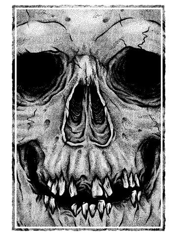 Caveira II
